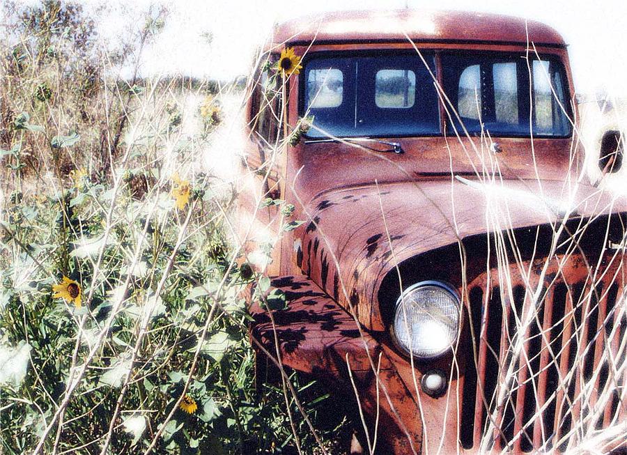 Rusty Relic - 02 Photograph by Pamela Critchlow