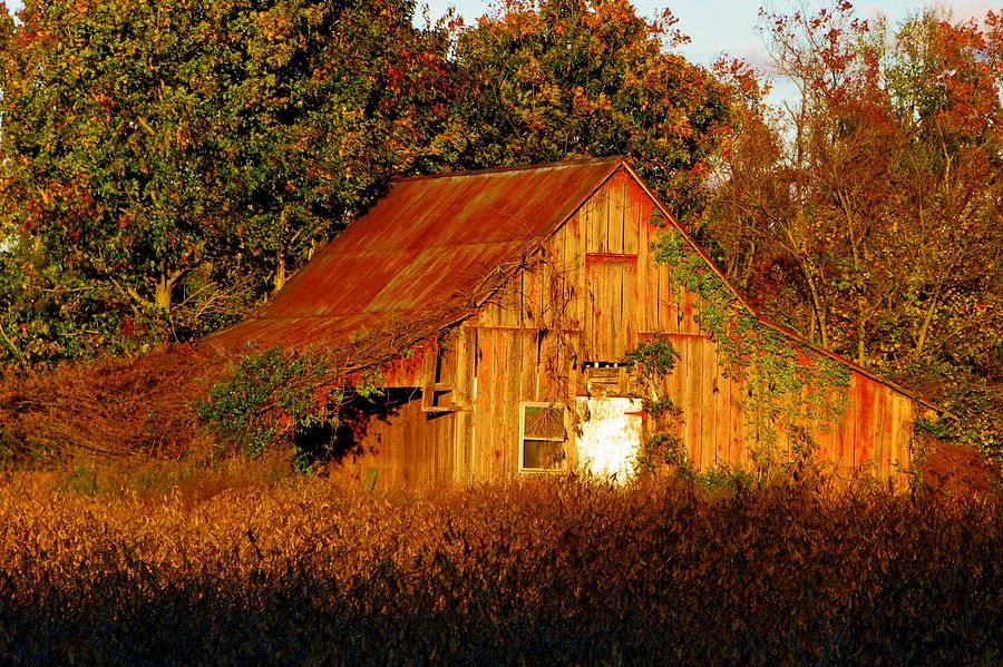 Rusty Roof Barn Photograph by Barbara Jernigan - Fine Art America