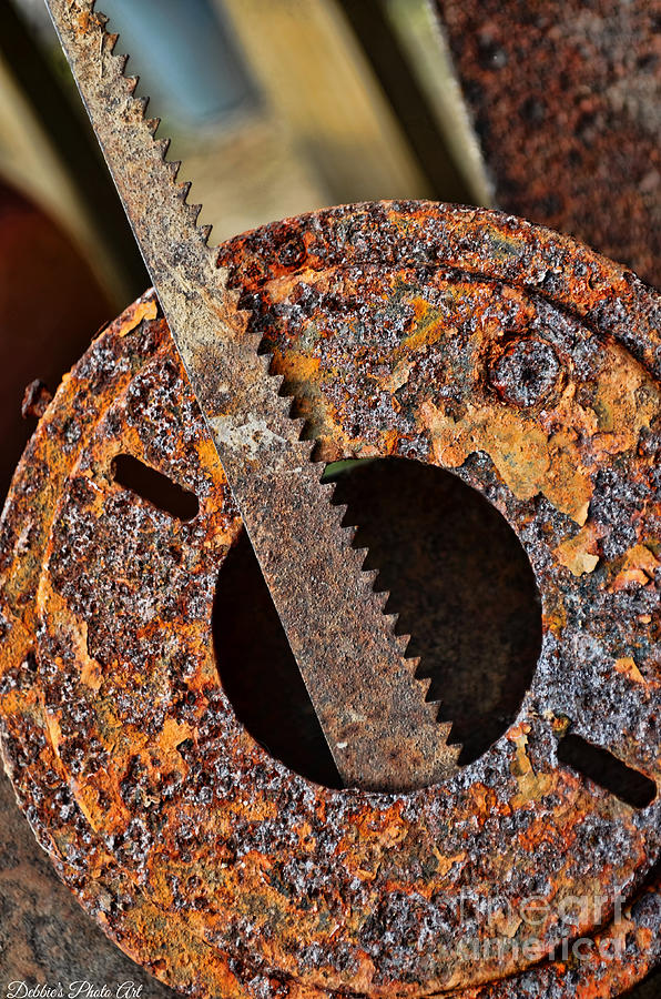 Rusty Tools  Photograph by Debbie Portwood