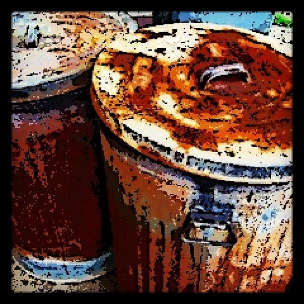Rusty Trash Cans Photograph by Susan Sorrell