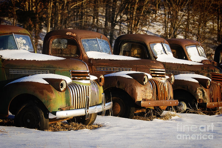 Rusty Trucks Photograph by Reva Dow