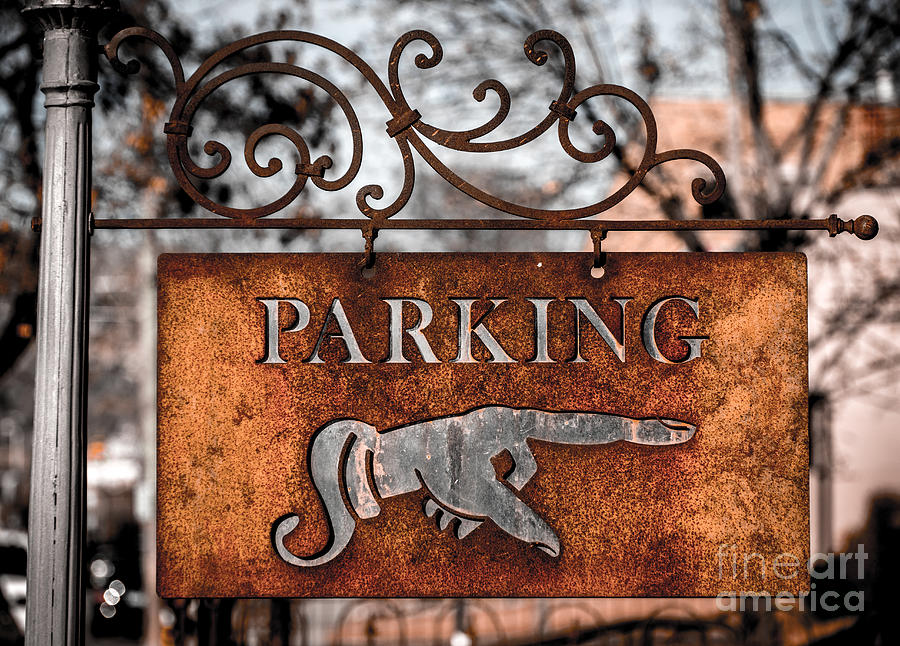 Rusty Vintage Iron Parking Sign Photograph by Gary Whitton