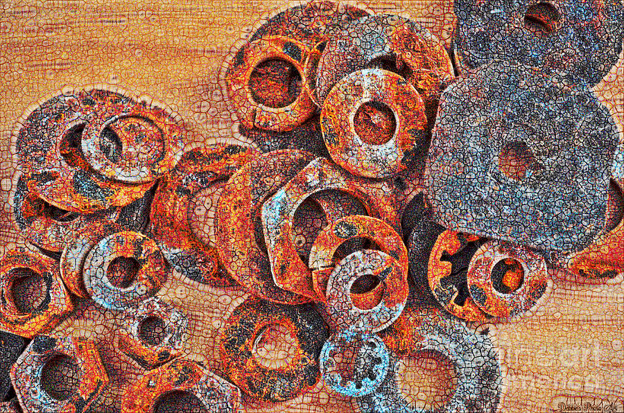 Rusty washers - Crackle effect Photograph by Debbie Portwood