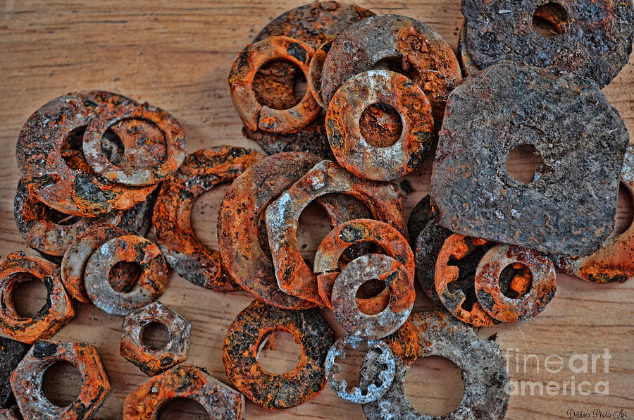 Rusty washers Photograph by Debbie Portwood