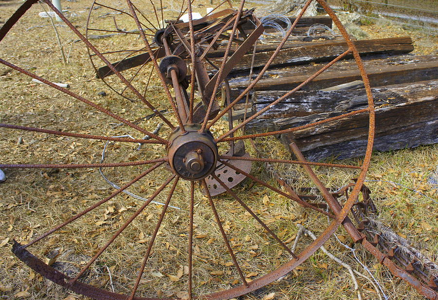 Rusty Wheel Photograph by Laurie Perry