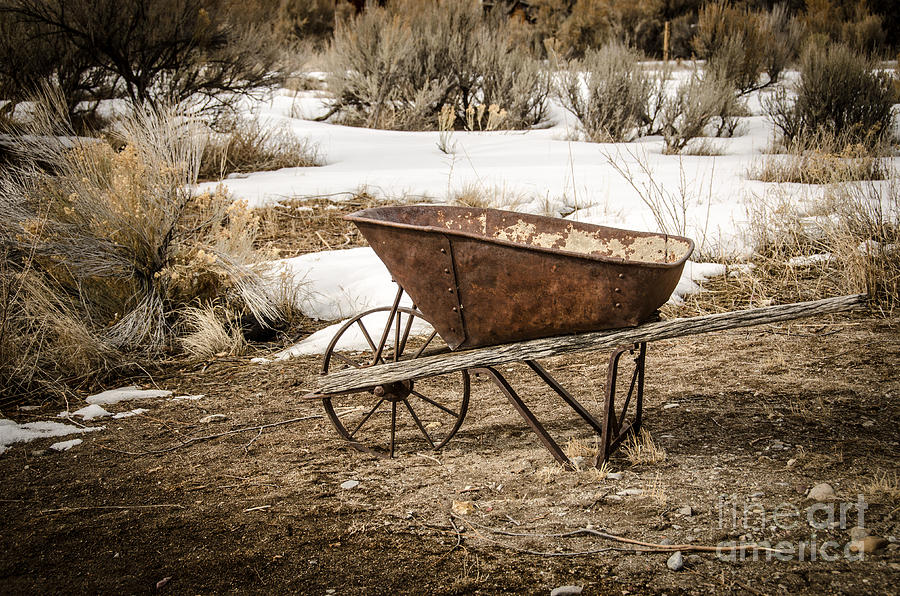 Rusty Wheelbarrow Photograph by Sue Smith