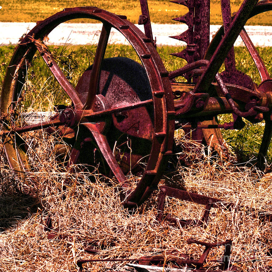 Vintage Photograph - Rusty Wheels by Lesa Fine