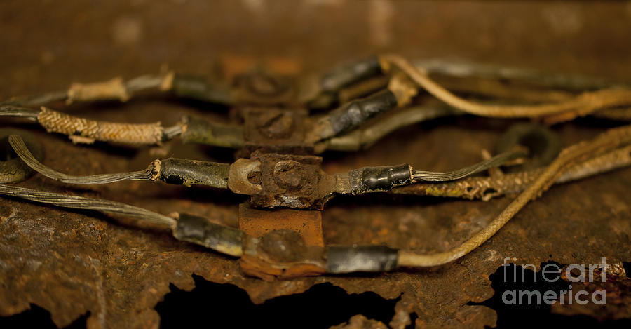 Rusty Wires Photograph by Wilma  Birdwell