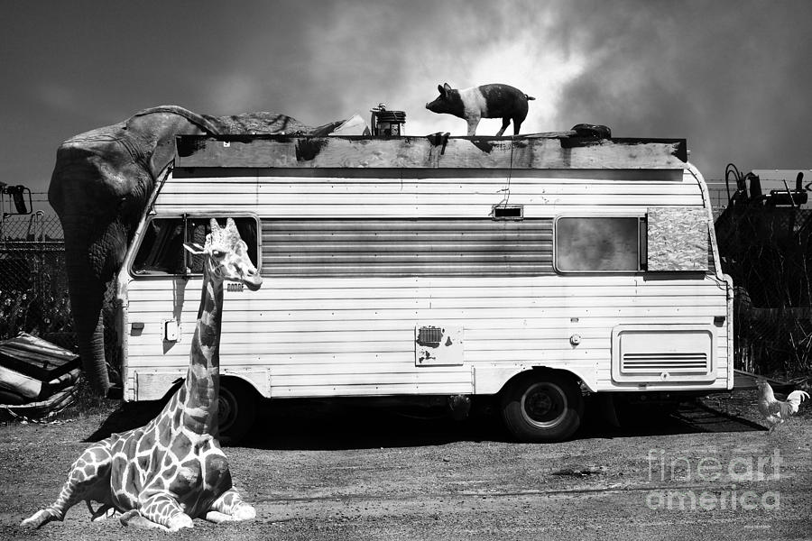 Transportation Photograph - RV Trailer Park 5D22705 Black and White by Wingsdomain Art and Photography