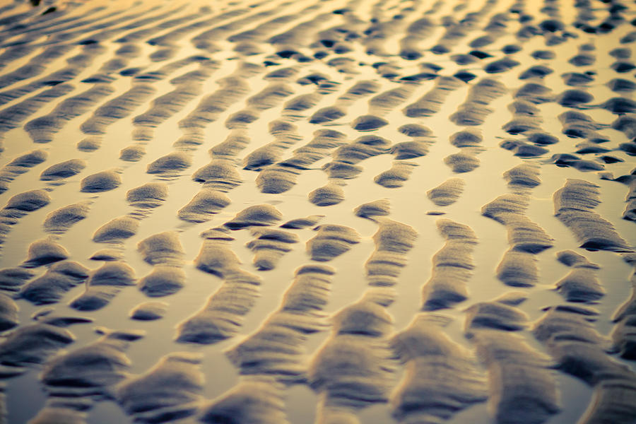 Rythm on sand Photograph by Raimond Klavins