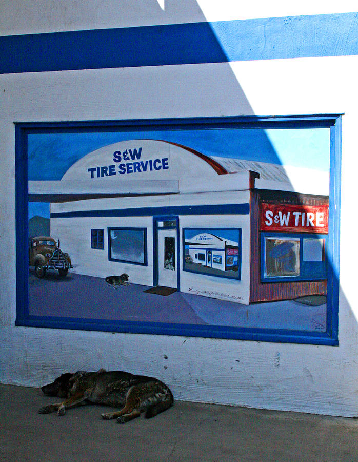 S and W Tire Service Mural Photograph by Joseph Coulombe