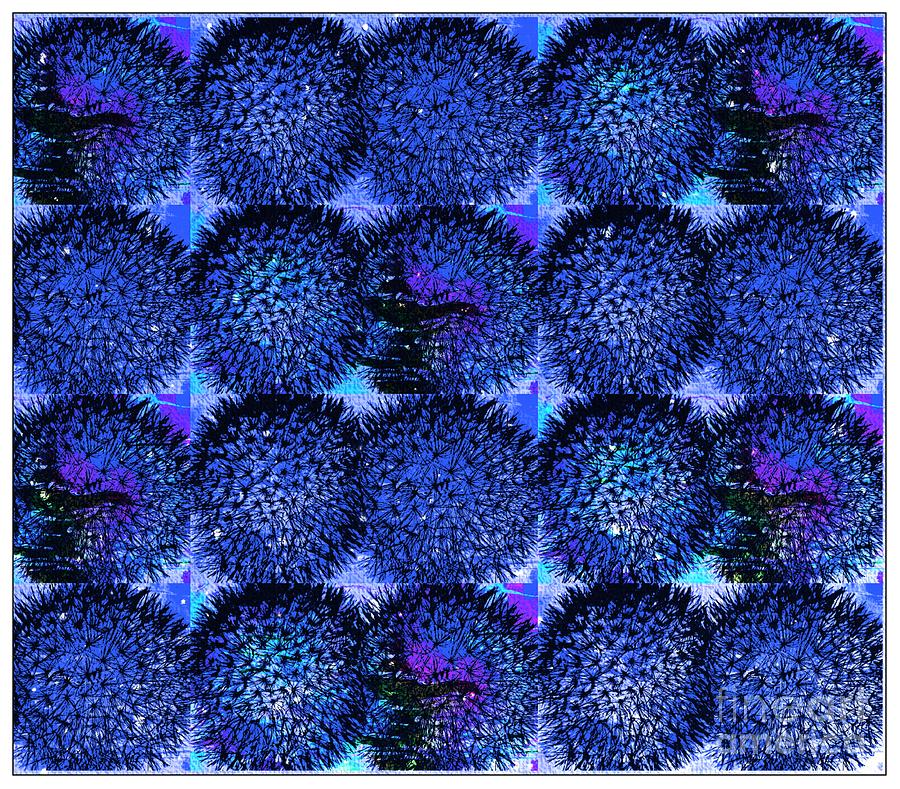 Dandelion Blue Duvet Cover Digital Art by Barbara A Griffin