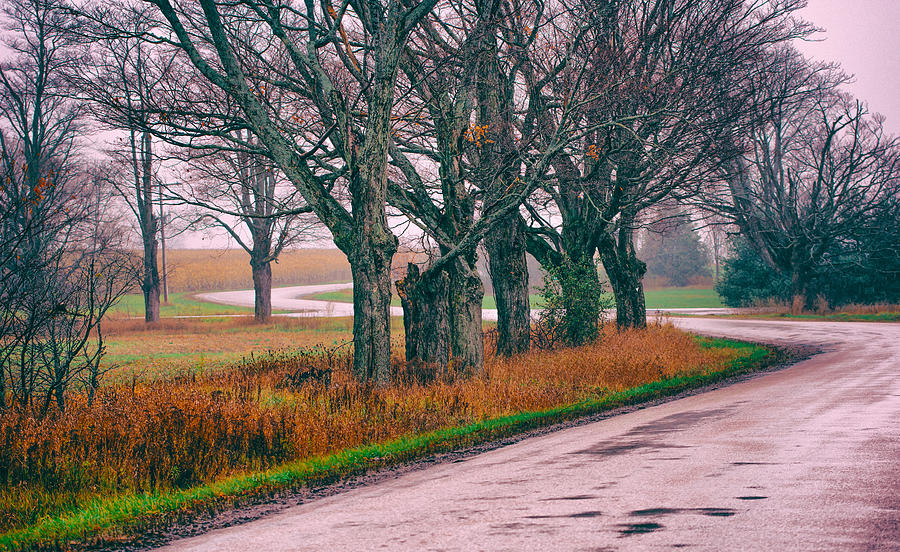 S Bend Road in Autumn Photograph by James Canning