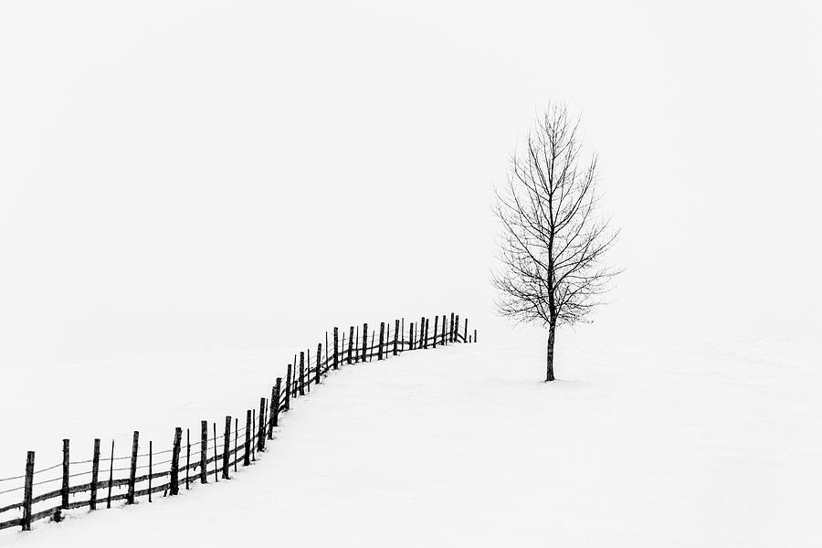Black And White Photograph - S I L E N C E by Sveduneac Dorin Lucian