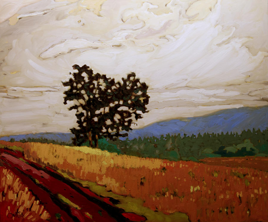 Saanich Oak  Painting by Rob Owen