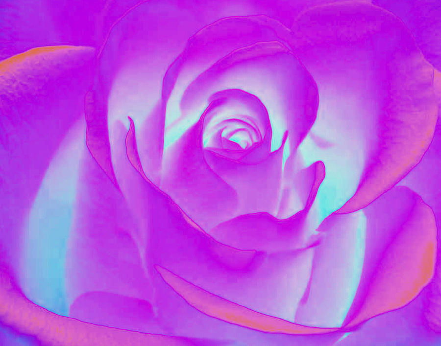 Sabattier Rose Photograph by Bill Barber
