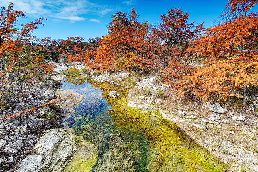 Fall Photograph - Sabinal River Magic Utopia Texas Hill Country by Silvio Ligutti