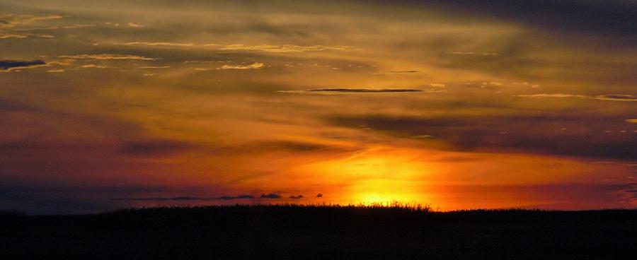 Sabine Wetlands Sunset Photograph by John Glass