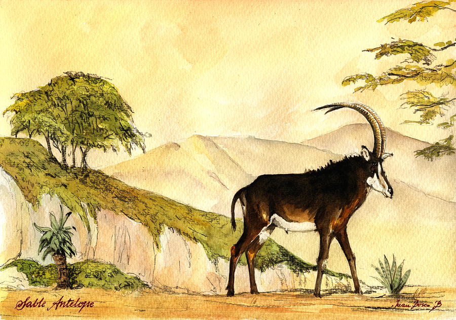 Landscape Painting - Sable antelope by Juan  Bosco