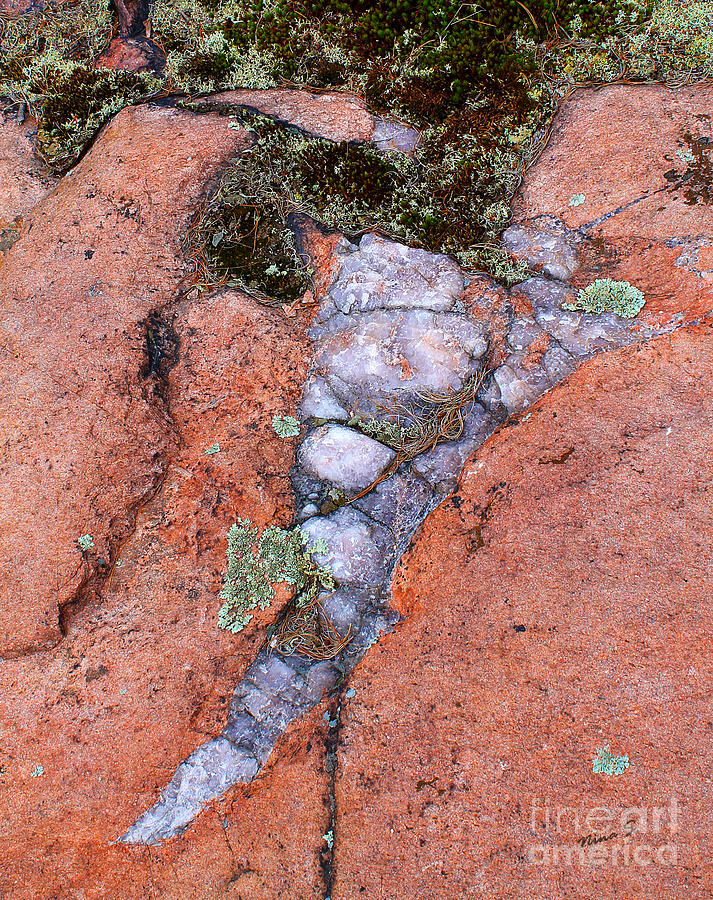 Sabretooth Quartz in Killarney Rock Photograph by Nina Silver