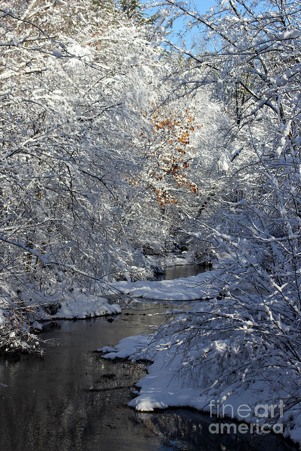 Winter Photograph - Saco River New Hampshire by Spirit Baker