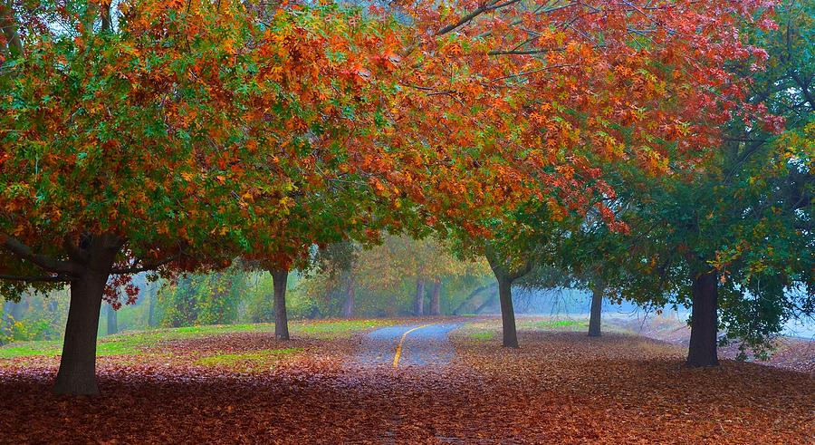 Sacramento River Bike Trail by Marilyn MacCrakin Sacramento River Bike Trail by Marilyn MacCrakin
