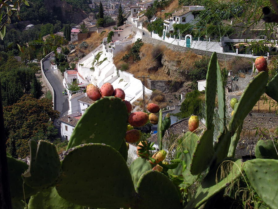 Sacramonte View - Grenada - Andalucia Photograph by Jacqueline M Lewis