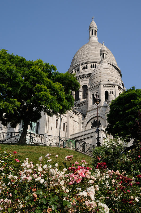Sacre Coeur Flowers Photograph by Jeremy Voisey