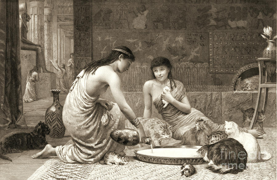 Sacred Cats 1888 Photograph by Padre Art