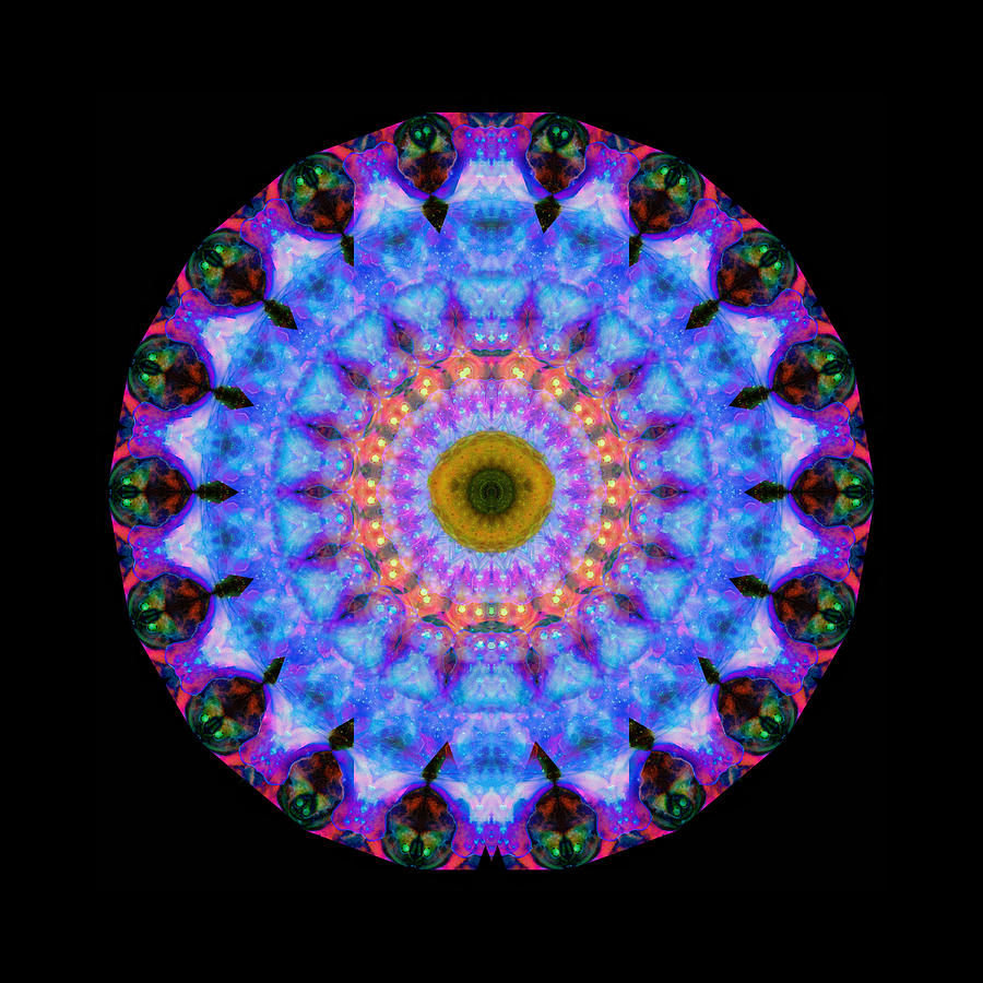 Iris Painting - Sacred Crown - Mandala Art By Sharon Cummings by Sharon Cummings