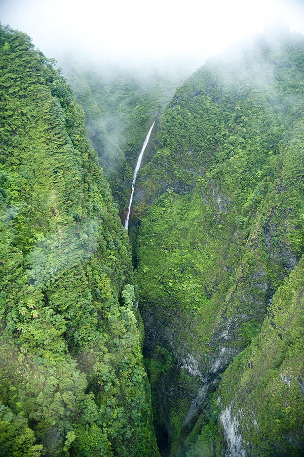 Sacred Falls - Hawaii Photograph by Sean Davey