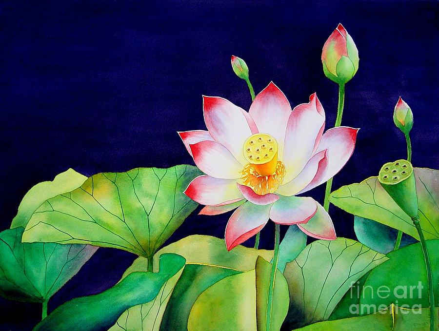 Flowers Still Life Painting - Sacred Lotus by Robert Hooper