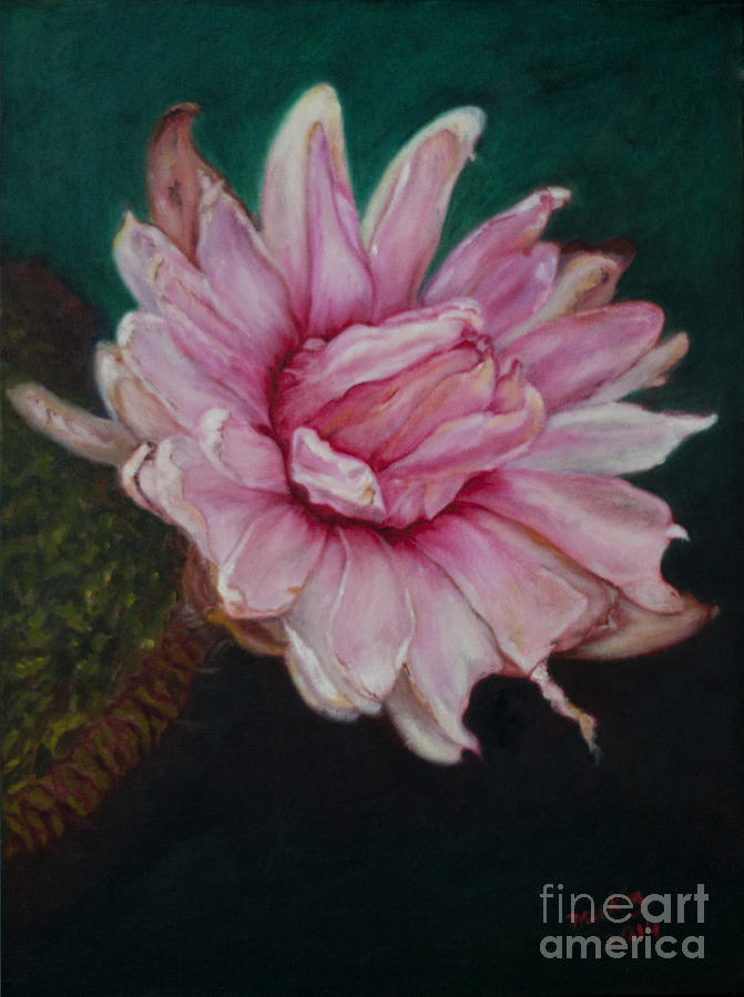 Lily Painting - Sacred red Lotus by Mukta Gupta