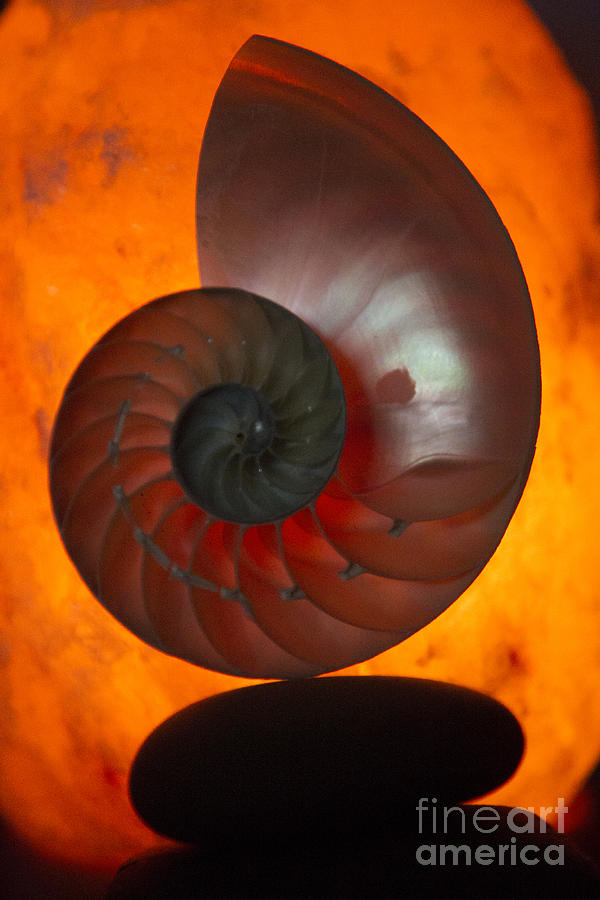 Sacred Spiral Photograph by Jeanette French