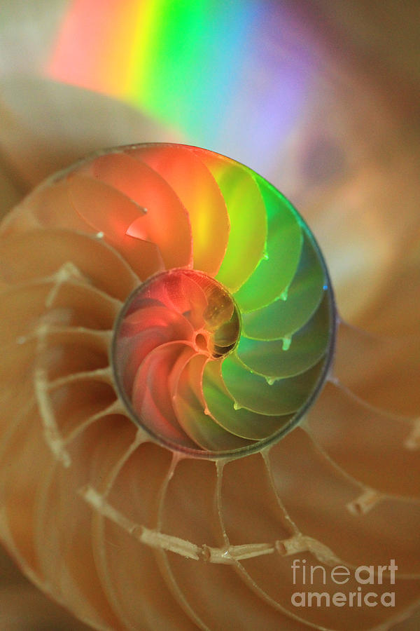 Sacred Spiral Rainbow Photograph by Jeanette French