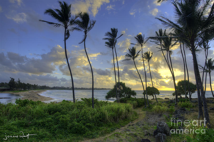 Sacred Sunrise Grounds Kauai Photograph by Joanne West