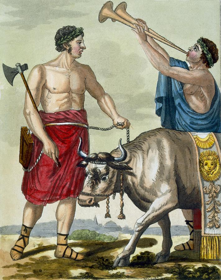 Trumpet Drawing - Sacrifice Of A Bull, Illustration by Jacques Grasset de Saint-Sauveur