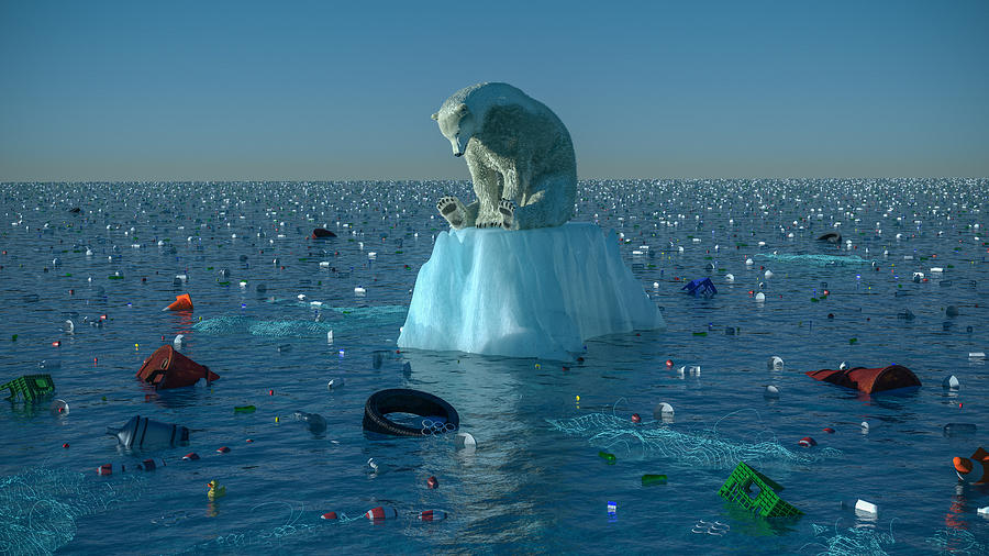 Sad Polar Bear Photograph by TheCrimsonMonkey