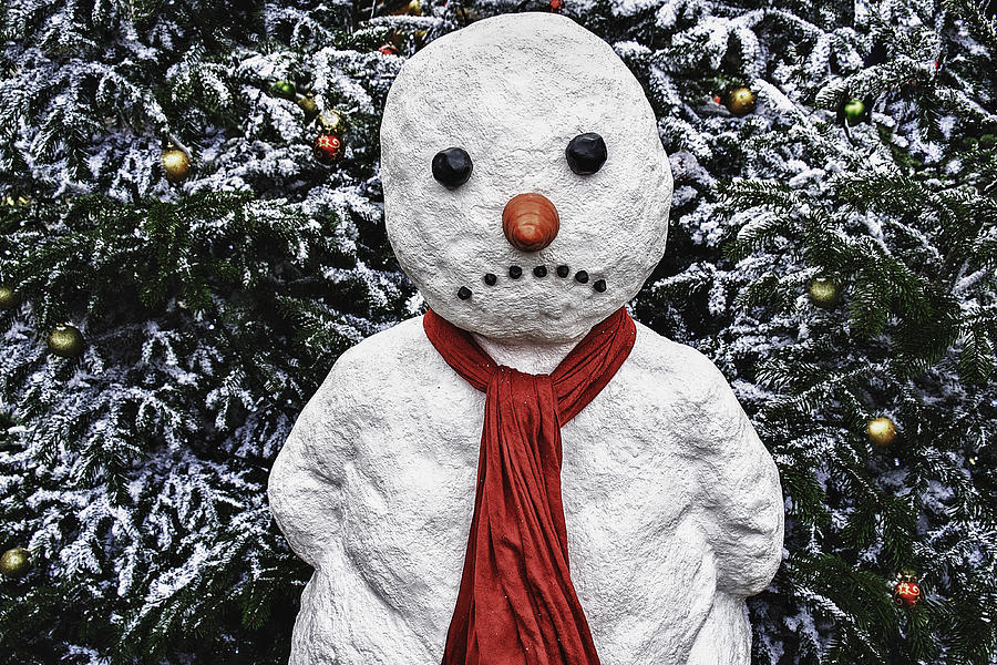 Sad snowman Photograph by Claus Christensen
