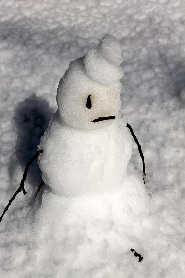 Sad Snowman by Mary Ziegler-Martin