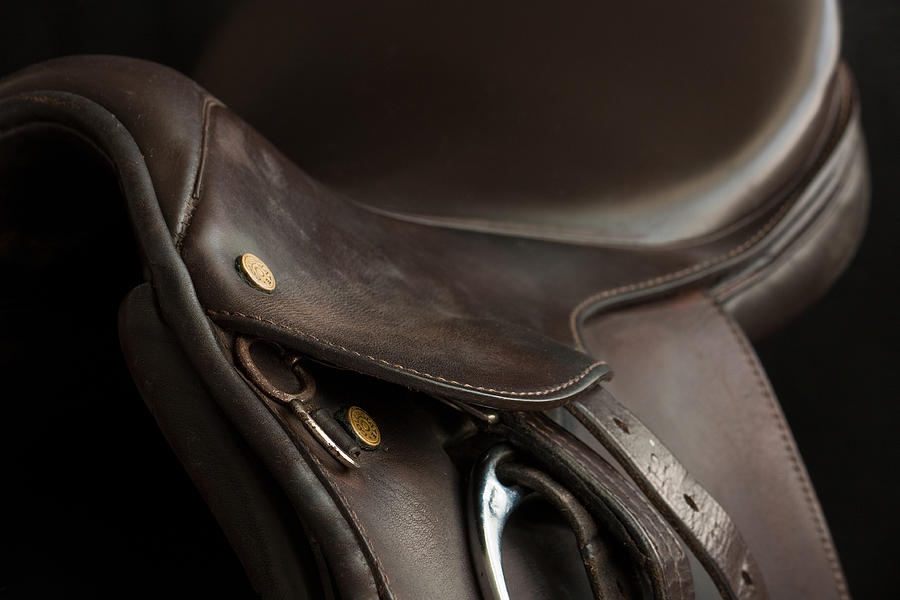 Saddle 1 by M Davis Saddle 1 by M Davis