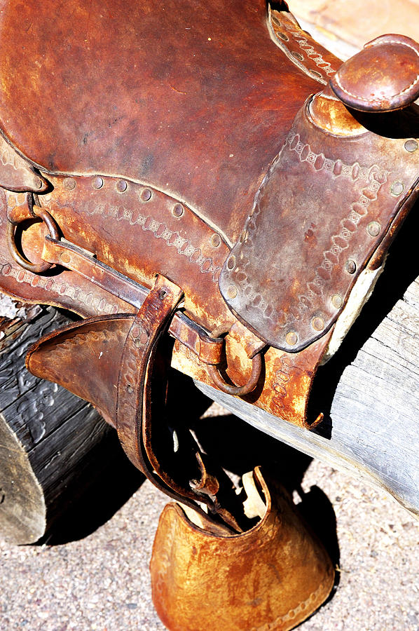 Saddle 21795 Photograph by Jerry Sodorff
