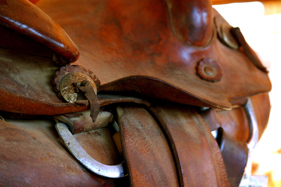 Saddle 21814 Photograph by Jerry Sodorff