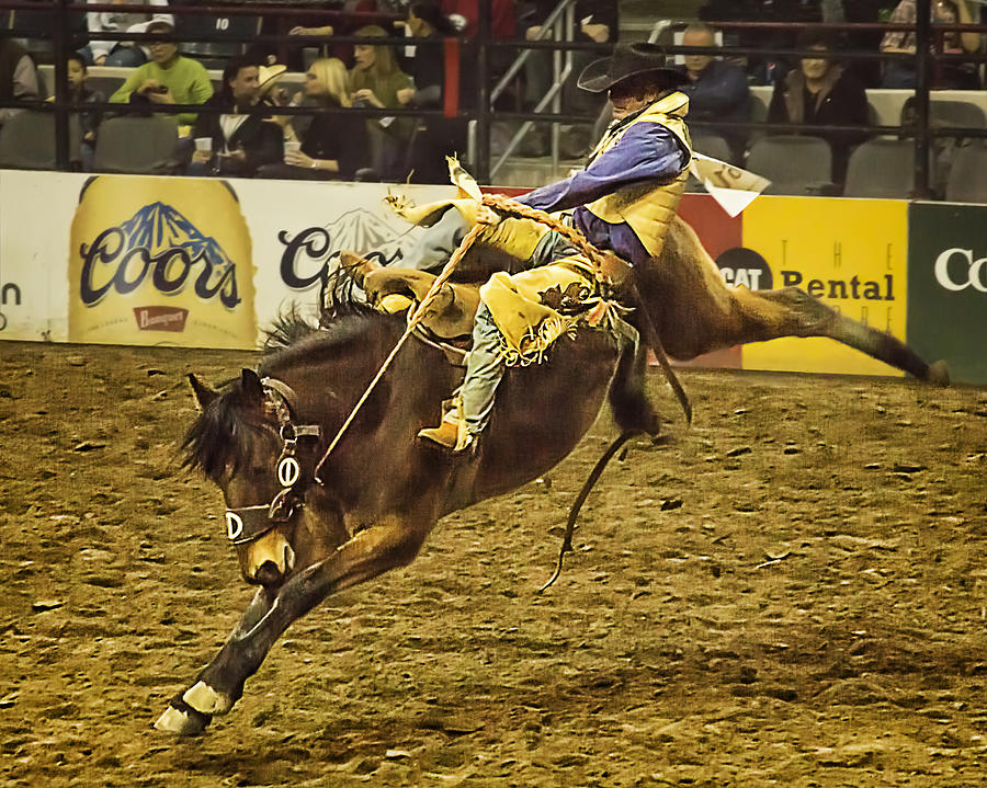 Saddle Bronc Riding at the 2014 National Stock Show Photograph by Priscilla Burgers
