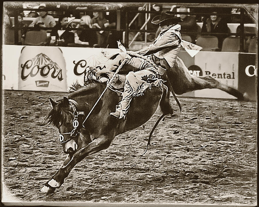 Denver Photograph - Saddle Bronc Riding at the National Stock Show by Priscilla Burgers