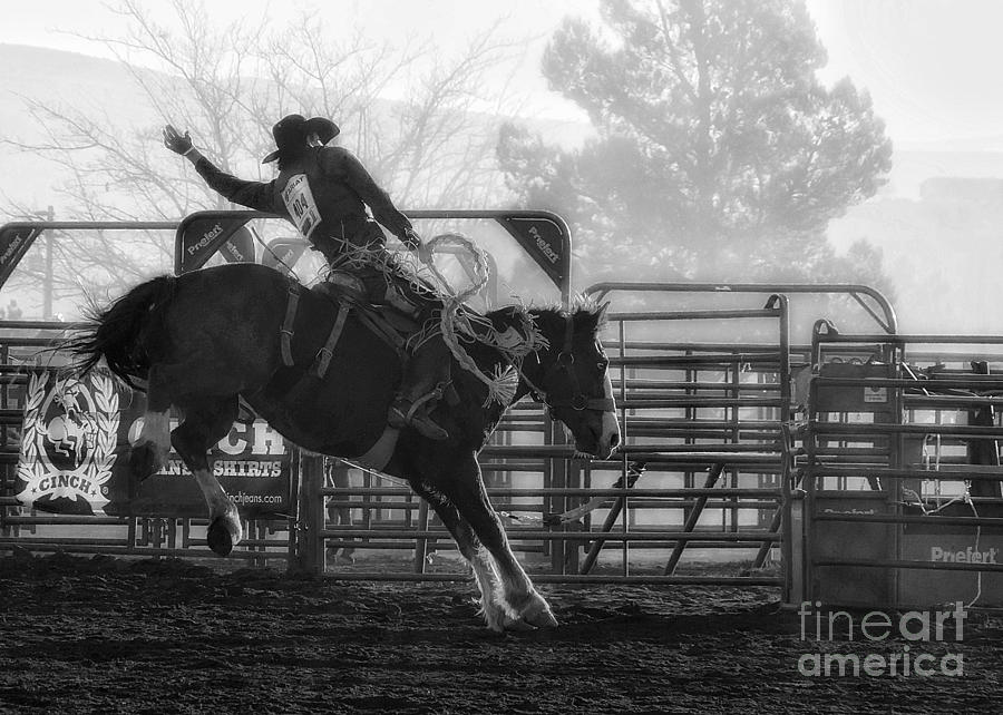Animal Photograph - Saddle Bronc Riding by Priscilla Burgers