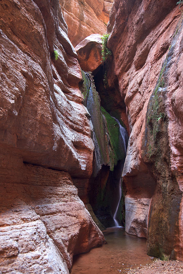 Saddle Canyon Waterfall Pyrography by Mike Buchheit