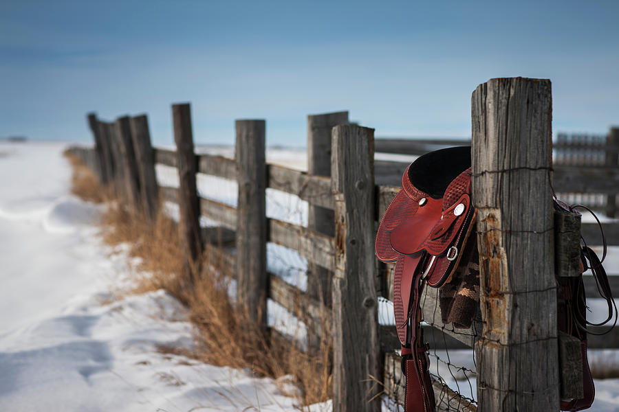 Saddle Hanging On A Wooden Fence Photograph by Greg Huszar