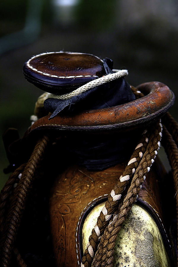 Saddle Horn Photograph by Steven Reed