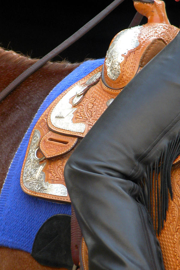 Saddle Leg 3623 Photograph by Jerry Sodorff